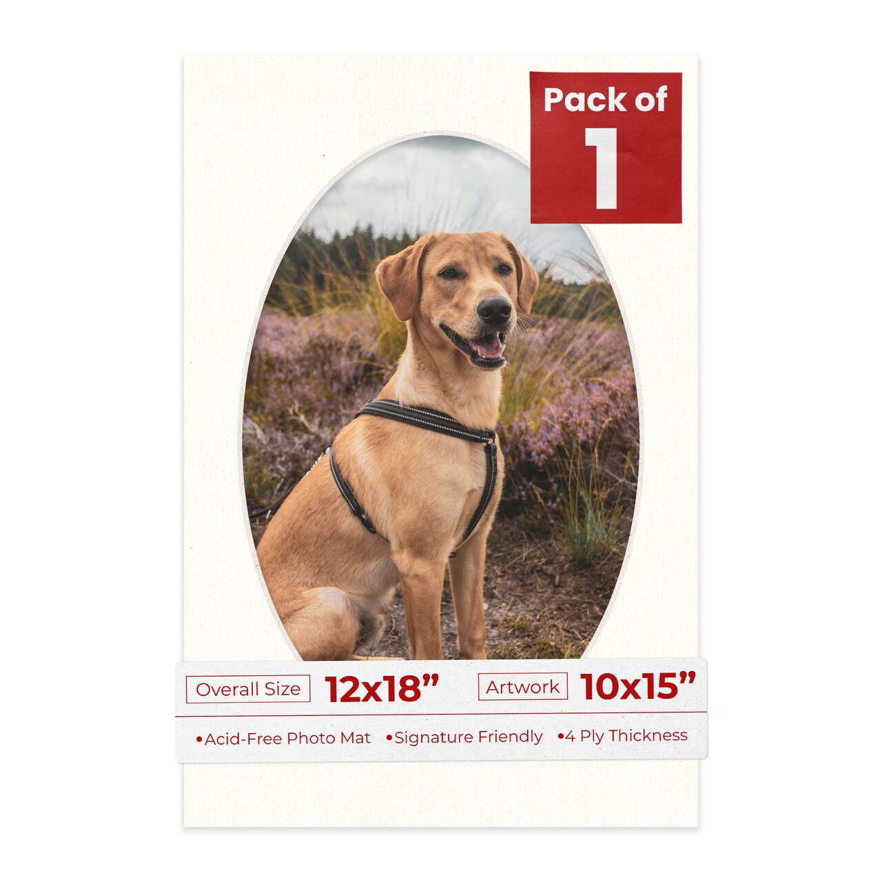 Beige Canvas Mat Board for 12x18 Frames - Oval Opening for 10x15 Photos